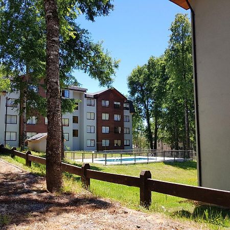Depto Parque Suizo 800 Apartment Pucon Luaran gambar