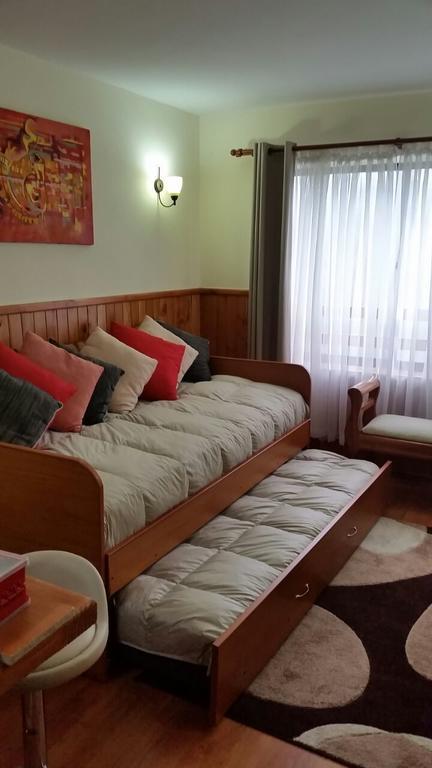 Depto Parque Suizo 800 Apartment Pucon Luaran gambar