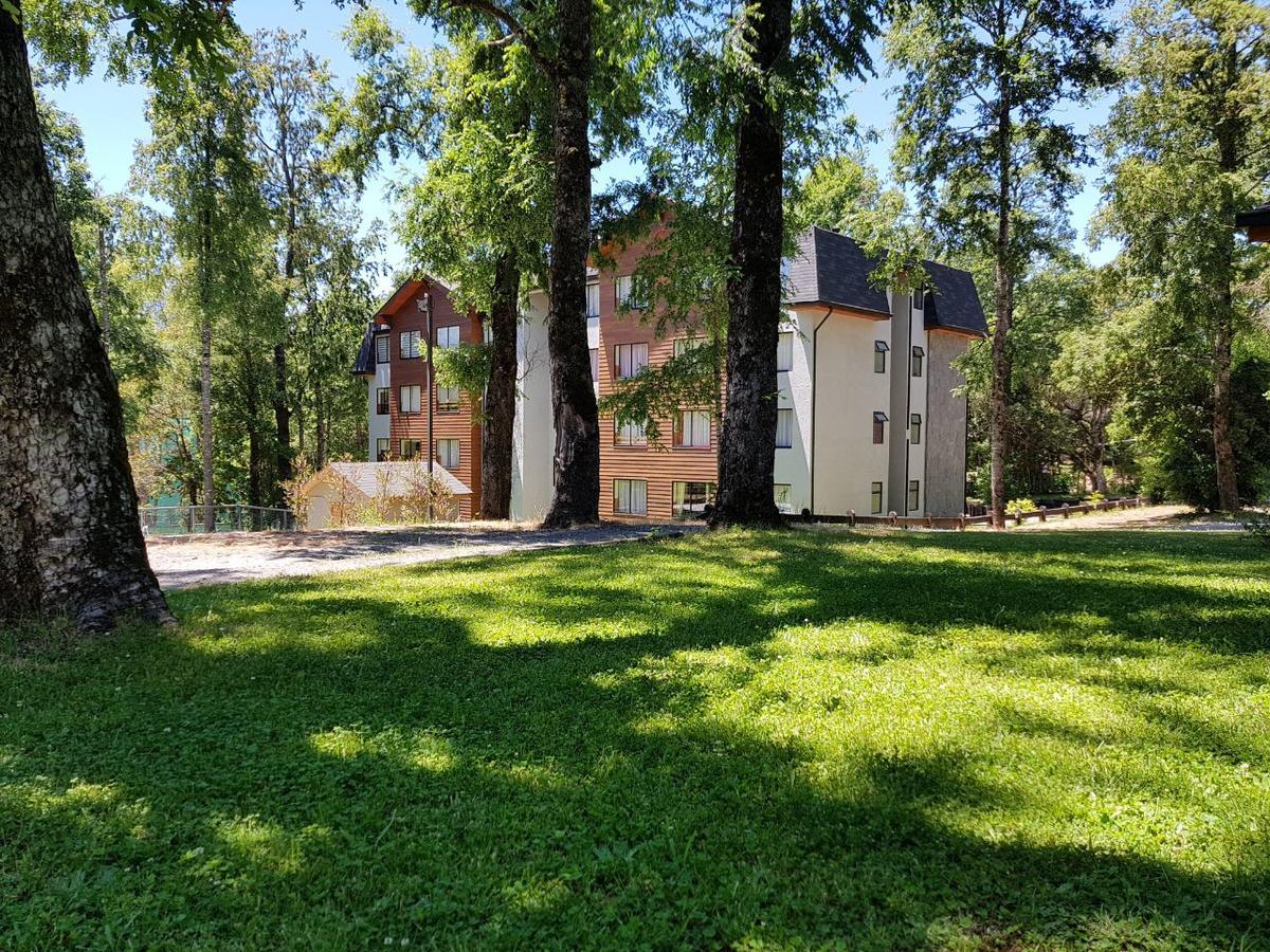 Depto Parque Suizo 800 Apartment Pucon Luaran gambar