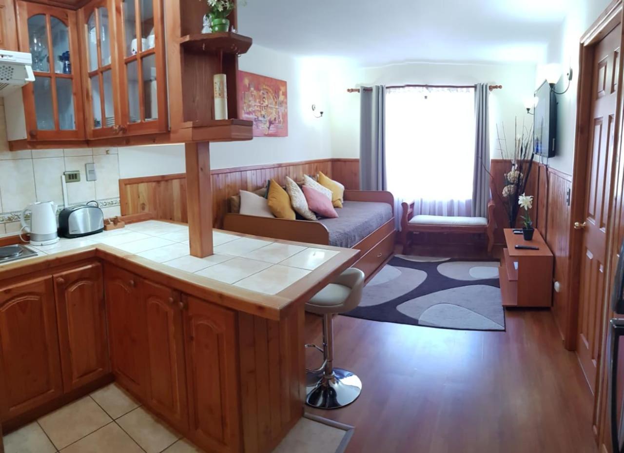Depto Parque Suizo 800 Apartment Pucon Luaran gambar
